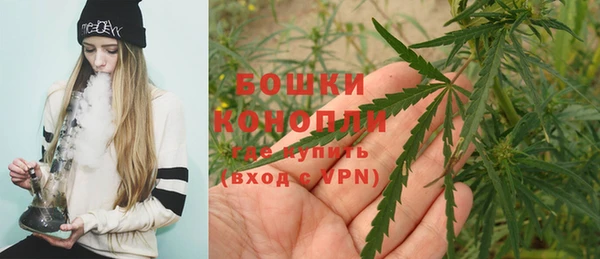 дмт Новокубанск