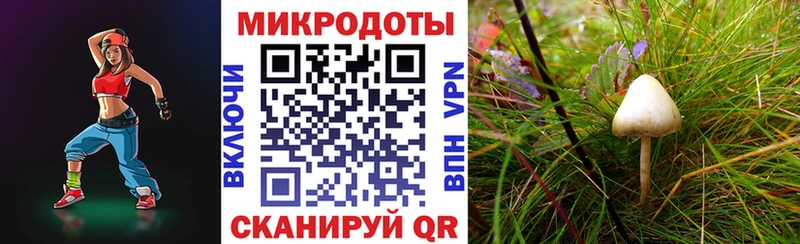 цены наркотик  Кяхта  Псилоцибиновые грибы MAGIC MUSHROOMS 